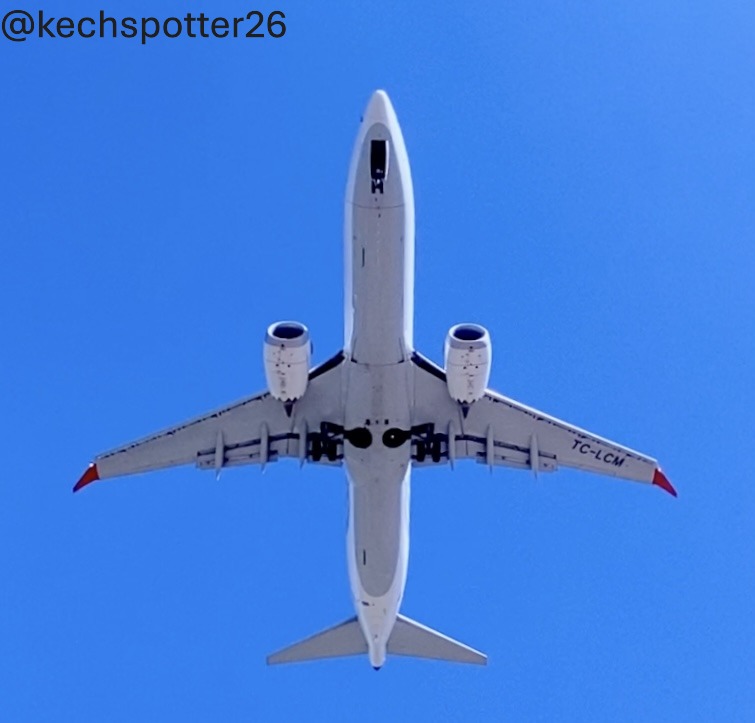 737 MAX in flight